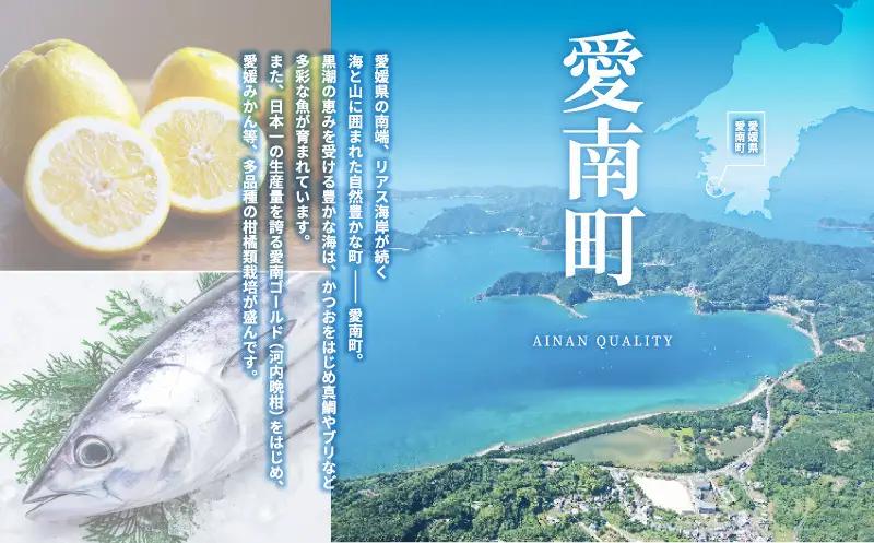 大人のCRAFT無糖サワー 河内晩柑 350ml×24本 父の日 チューハイ 柑橘 酒 アルコール 無糖  酎ハイ クラフトサワー 河内晩柑 愛南ゴールド アシード アスター 愛媛県 愛南町 Yショッ