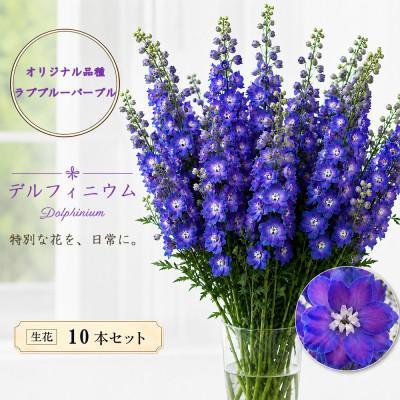 ふるさと納税 長和町 デルフィニウム 生花10本　花色:ラブブルーパ-プル　〜特別な花をインテリアに〜