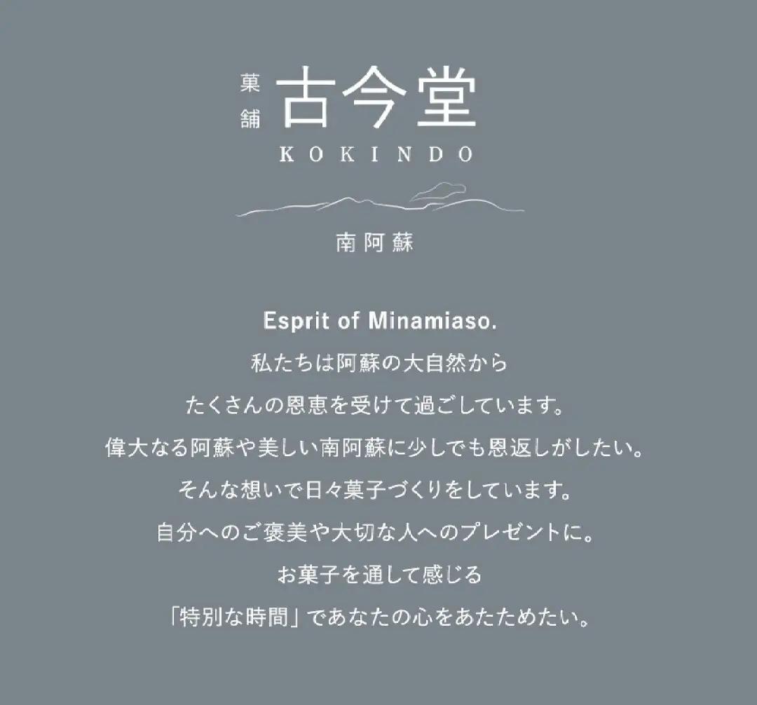 濃厚 フォンダンショコラ ASO BATON 10個 古今堂《30日以内に出荷予定(土日祝除く)》 熊本県 南阿蘇村 チョコ チョコレート ショコラ 熊本 土産 お茶菓子 デザート お菓子 スイーツ