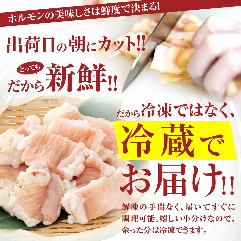 極み シマチョウ テッチャン 1.2kg 附属タレ付き | タレ揉み 冷蔵 甘脂付き 焼肉 もつ鍋 中元 ギフト お祝い