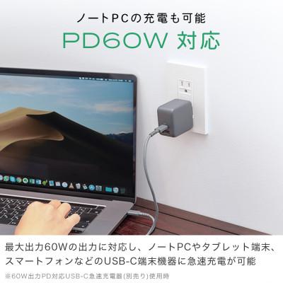 ふるさと納税 海老名市 シリコンケーブル C to C 1m ピスタチオ(MOT-SCBCCG100-PS) |  | 03