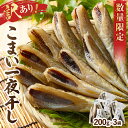 【ふるさと納税】訳あり 数量限定 こまい 一夜干し 200g×3袋 北海道 浜中町 国産 食品 加工品 魚 魚介類 海鮮 海の幸 海産物 氷下魚 コマイ 新鮮 干物 惣菜 焼き魚 おかず おつまみ 酒の肴 ご飯のお供 BBQ 旨味 人気 おすすめ おすそ分け お土産 家庭用 冷凍 送料無料