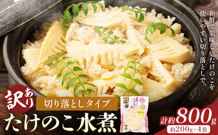 訳あり たけのこ水煮 切り落としタイプ 計約800g(約200g×4袋) 北薩農産加工場《30日以内に出荷予定(土日祝除く)》鹿児島県 たけのこ 筍 水煮 使いやすい 定期便 春 旬 料理 調理