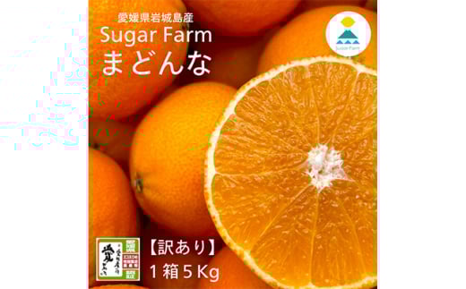 ＜2024年12月上旬～順次発送＞＜訳あり＞シュガーファームのまどんな5kg【1435464】