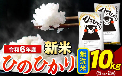 令和6年産 新米 早期先行予約受付中 ひのひかり 無洗米 10kg 《11月-12月より出荷予定》 5kg×2袋 熊本県産（荒尾市産含む） 米 精米 ひの