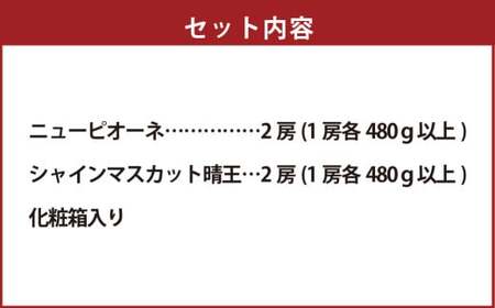 詰合 ニューピオーネ 2房 シャインマスカット 晴王 2房（1房各480g以上）計1.92kg以上 化粧箱入り 【2026年9月上旬～10月上旬迄発送予定】 ぶどう ブドウ 葡萄 マスカット ピオーネ