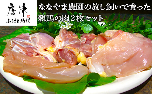 佐賀県産 放し飼いで育った親鶏の肉 (もも むね ささみ各2枚×2) 煮込み料理 たたき