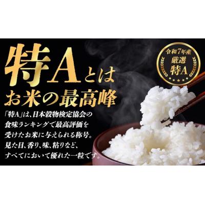ふるさと納税 小山町 令和7年産 コシヒカリ 【 精米 】 5kg |  | 01