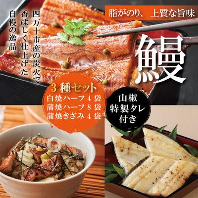 ふるさと納税 四万十市 &lt;四万十食品&gt;うなぎ蒲焼　ハーフ8袋+きざみ4袋+白焼ハーフ4袋/F