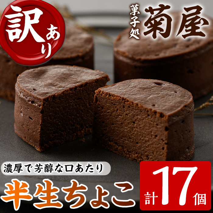 《訳あり》半生ちょこ(計17個) スイーツ バレンタイン ホワイトデー 濃厚 チョコ お菓子 銘菓 冷凍 詰め合わせ 詰合せ 個包装 簡易包装 家庭用 自宅用 洋菓子【菓子処 菊屋】【A-1596H】