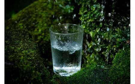 【定期便12回】のむシリカ 500ml×24本 (ミネラルウォーター 天然水 定期便)