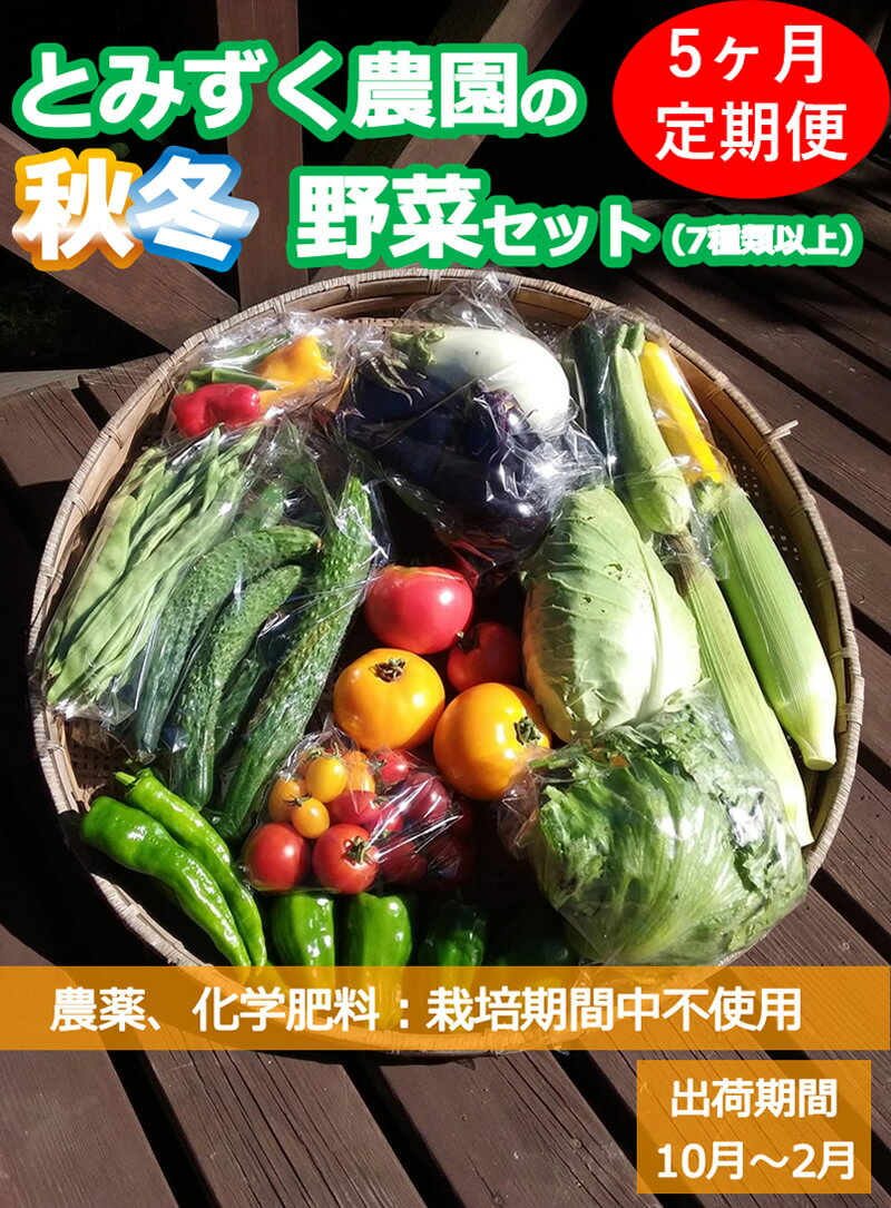 【ふるさと納税】【5ヶ月連続定期便】とみずく農園の秋冬野菜セット (北海道・沖縄県・離島は配送不可) 無農薬 高原野菜 旬 新鮮 詰合せ〈出荷時期:2025年10月17日以降出荷開始～2026年2月28日出荷終了〉【 産地直送 産直 旬の野菜 詰合せ 有機野菜 長野県 佐久市 旬彩】