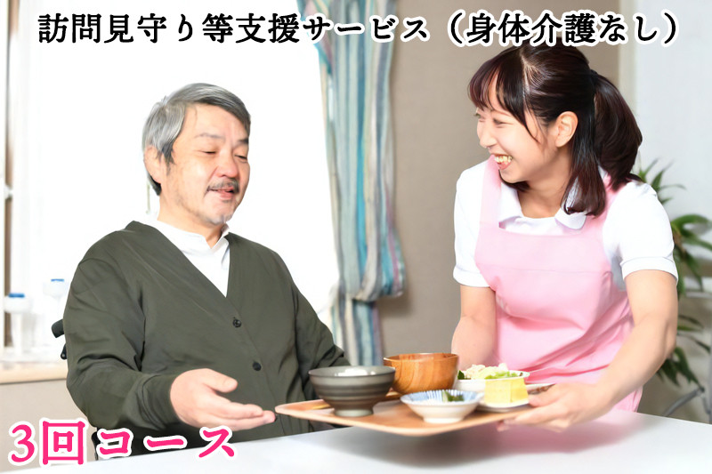 
訪問見守り等支援サービス (身体介護なし) 3回コース 利用補助券｜会津若松市 お手伝い 生活支援 [0210]
