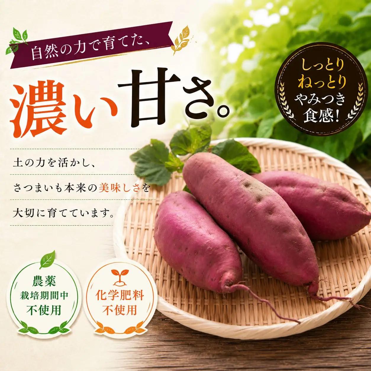 冷凍　旨蜜芋　5kg