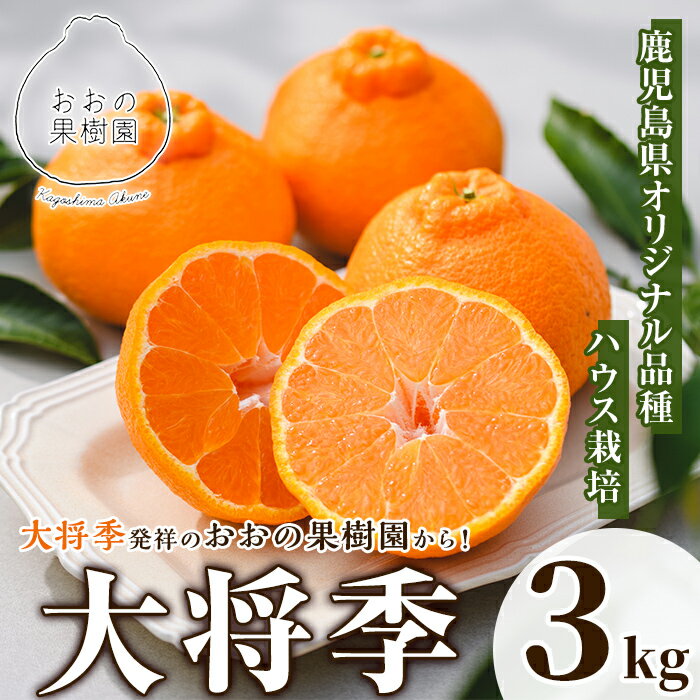 【ふるさと納税】＜先行予約受付中！2026年2月中旬以降順次発送予定＞数量限定！おおの果樹園の「大将季」(計3kg) 果物 フルーツ 果実 柑橘 ハウス栽培 無加温 みかん【おおの果樹園】akn087-03