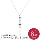 【ふるさと納税】《アコヤ真珠》SV-8.0mm パールペンダント（NO-6）【★★☆☆☆】 40cm シルバー 銀製 真珠保証書付 パール レディース ファッション アクセサリー ジュエリー 宝石 プレゼント 贈り物 長崎県 長崎市 送料無料