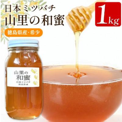 ふるさと納税 三好市 《1kg》山里の和蜜(百花蜜)|日本みつばち