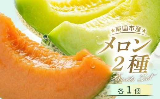 贈答用 メロン 青肉・赤肉 セット 各1個 | 青肉 メロン 赤肉 メロン セット 1個 マスクメロン めろん フルーツ 果物 厳選 高級 人気 デザート ギフト プレゼント 贈り物 くだもの 食べ比べ 旬 お取り寄せ メロン 甘い 高糖度 メロン 産地直送 季節限定 先行予約 西島園芸団地 高知県 南国市