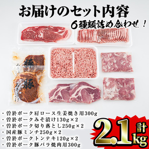 鹿児島県 曽於市産 曽於 ポーク 5種類 国産 豚ミンチ 詰め合わせ 合計2.1kg  豚肉 小分け 切り落とし【Rana】A414-v02