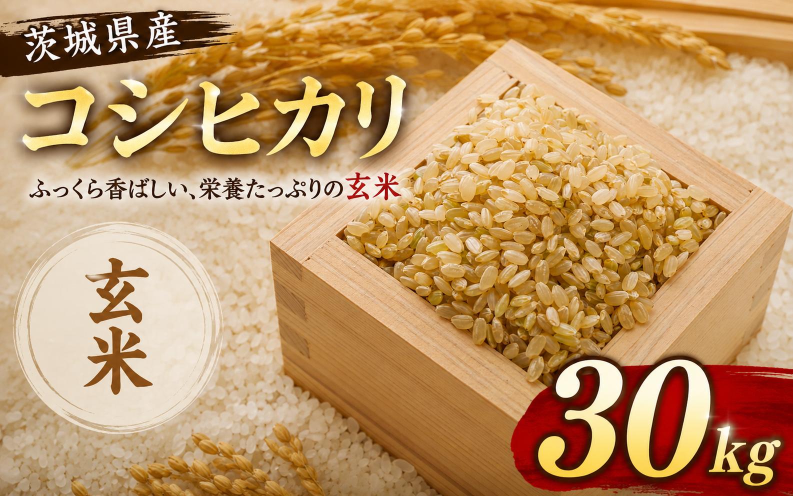 
                  玄米 コシヒカリ 30kg  米 お米 数量限定 ご飯 ごはん コメ 白米 ライス げんまい こしひかり  期間限定 2025年産 R7産 玄米30kg 玄米30キロ 米30kg 30キロ 銘柄米 茨城県 筑西市新生活 応援 kome okome 茨城県産 国産 産地直送 ※ 関東 茨城 筑西 
                