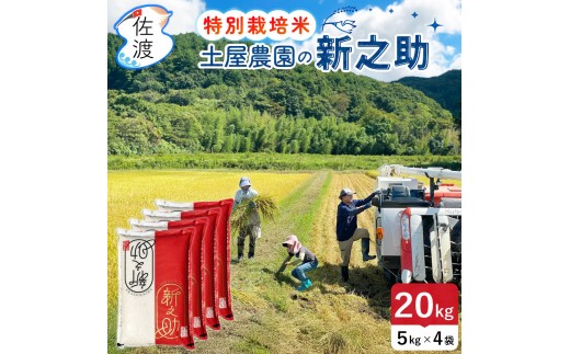 佐渡島産新之助 白米20Kg（5Kg×4袋） 土屋農園 特別栽培米 令和7年産【食の宝島佐渡】