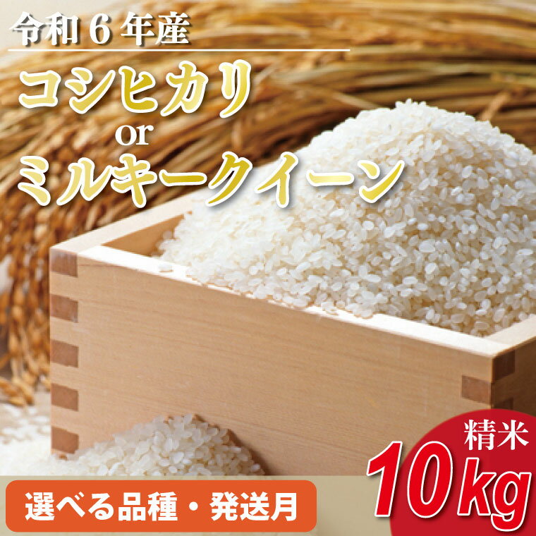 【ふるさと納税】【配送月・品種が選べる】★数量限定★令和6年 茨城県産コシヒカリorミルクークイーン 10kg｜米 お米 こめ こしひかり コシヒカリ ミルキークイーン 数量限定 期間限定 令和6年産 茨城県産 行方市 人気 送料無料