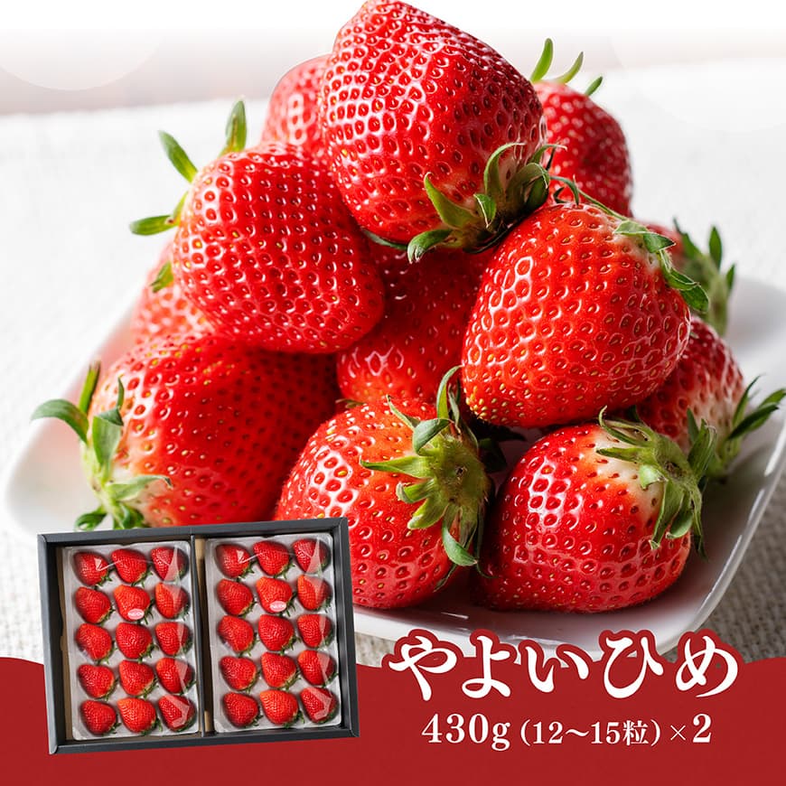 川南町産　いちご「やよいひめ」900ｇ（450ｇ×2）【 期間限定 果物 イチゴ 苺 やよいひめ フルーツ 】[D11202]