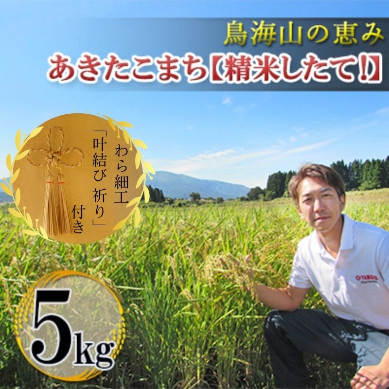 【ふるさと納税】秋田県産 あきたこまち 「 あきたこまち ひの米 5kg 精米 」＆「叶結び 祈り」【 ご飯 白米 主食 ライス 釜ヶ台 国産 おにぎり お弁当 縁起物 装飾 工芸品 民芸品 手作り わら細工 インテリア 】