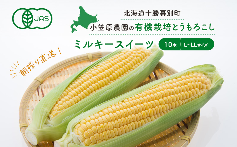 小笠原農園の有機とうもろこし「ミルキースイーツ」10本【北海道十勝幕別】2024年8月発送開始