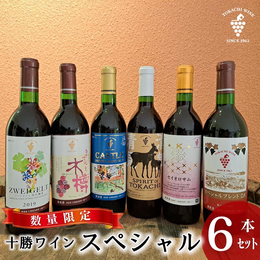 【ふるさと納税】【数量限定】十勝ワインスペシャル6本 特別醸造 限定ラベル 赤ワイン 北海道池田町 送料無料