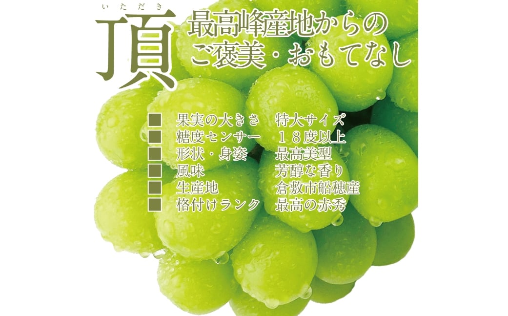  プレミアム シャインマスカット 晴王 2房 約1.3kg 