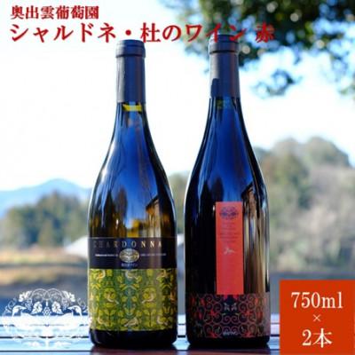 ふるさと納税 雲南市 シャルドネ750ml×1本・杜のワイン赤750ml×1本　辛口白ワイン　辛口赤ワイン　飲み比べ