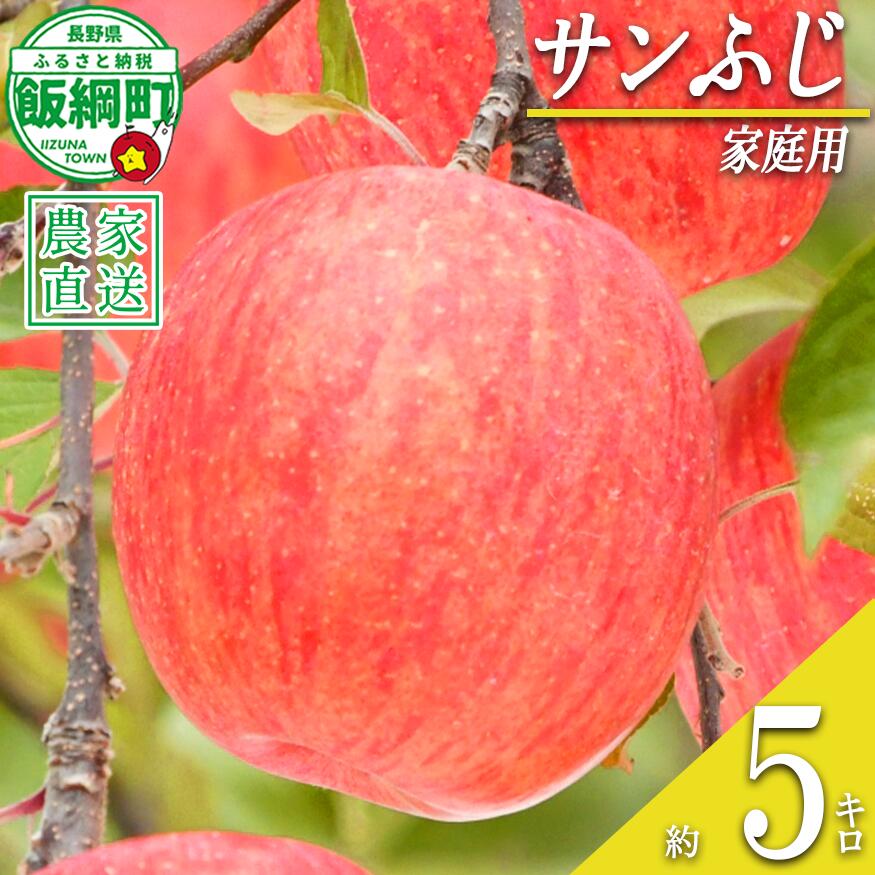 【ふるさと納税】 りんご サンふじ 5kg 家庭用 宮本ファーム 沖縄県への配送不可 〔 果物 フルーツ 林檎 長野 予約 農家直送 5キロ 15000円 〕【令和8年度収穫分】 発送：2027年1月上旬〜