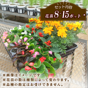 季節の 花苗 セット ガーデニング 大 寄せ植え 花 贈り物 フラワー ギフト 花