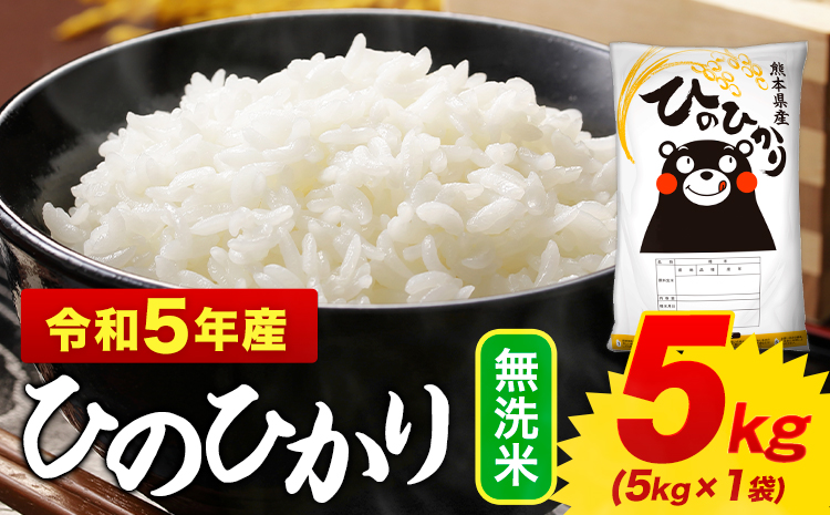 無洗米 ひのひかり 5kg 令和6年産 新米 熊本県産 ふるさと納税 無洗米  精米 ひの 米 こめ ふるさとのうぜい ヒノヒカリ コメ お米 おこめ---mf_hn6_af11_24_10000_5kg_m---