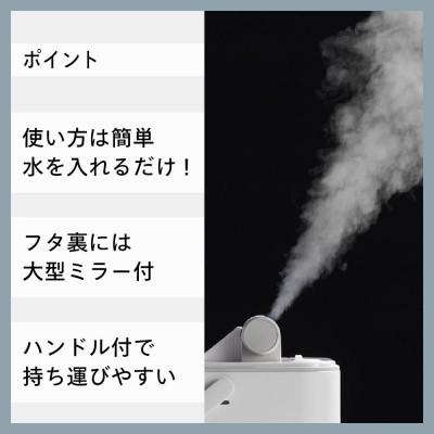 ふるさと納税 燕市 ツインバード フェイススチーマー ( ESH-2787W ホワイト ) 美顔器 デコルテ |  | 01