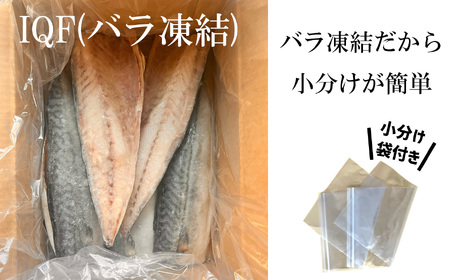 金華さば半身5枚 無塩 バラ凍結