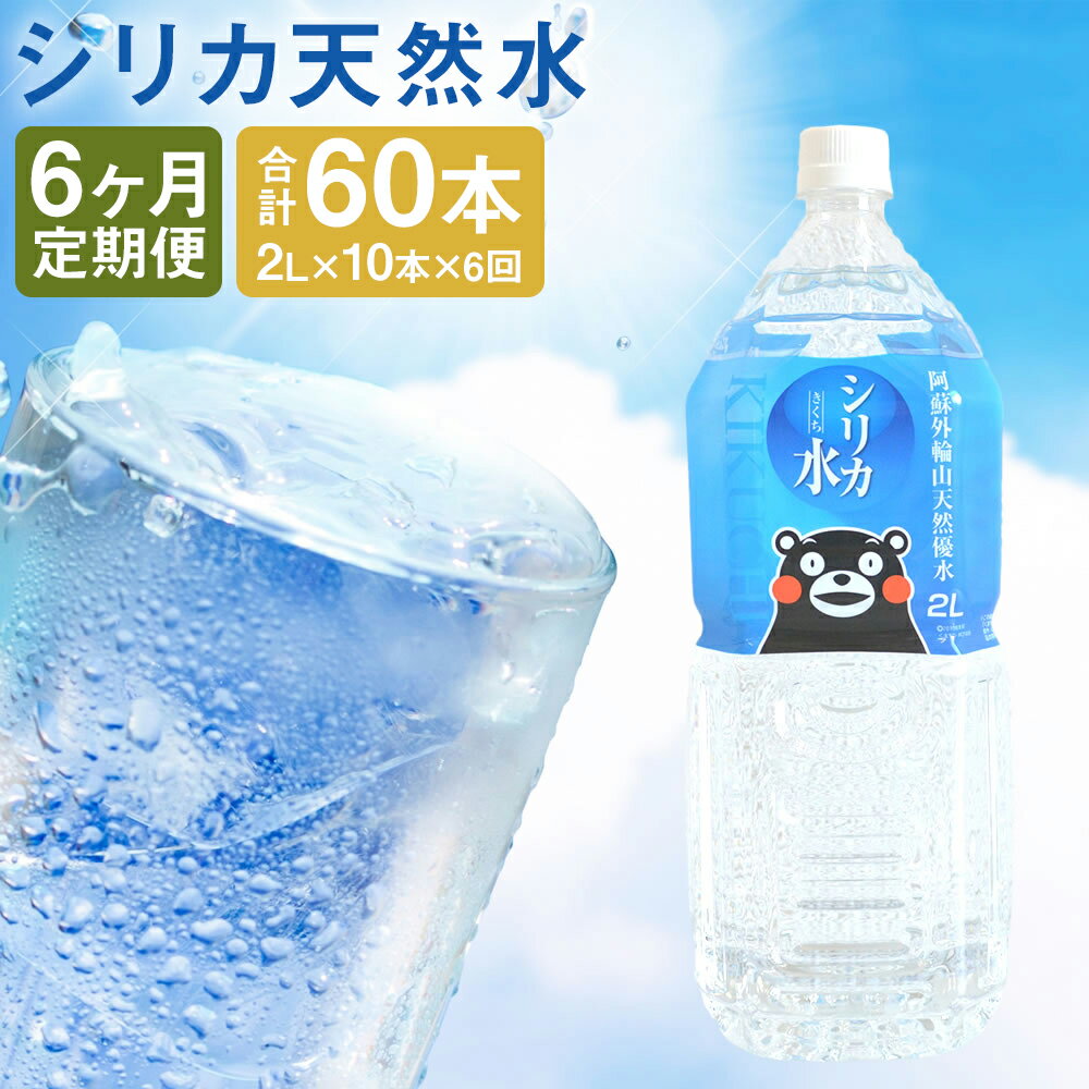【ふるさと納税】【6ヶ月定期便】シリカ天然水 2L×10本×6回お届け 合計60本 120L シリカ水 飲料水 ミネラルウォーター 水 軟水 鉱水 ペットボトル 熊本県 送料無料《お申込みの翌月から出荷》