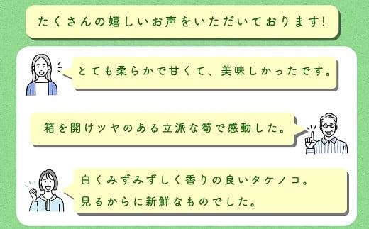 【先行受付】特選 生たけのこ 食べ比べ 2kg×2回 予約 3月中旬と4上旬の2回発送 熊本県 南関町産 春 筍