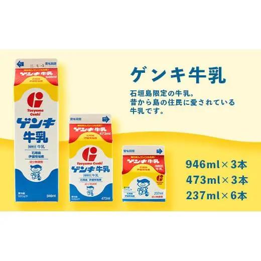 八重山ゲンキ乳業 全種バリューセット　GN-4