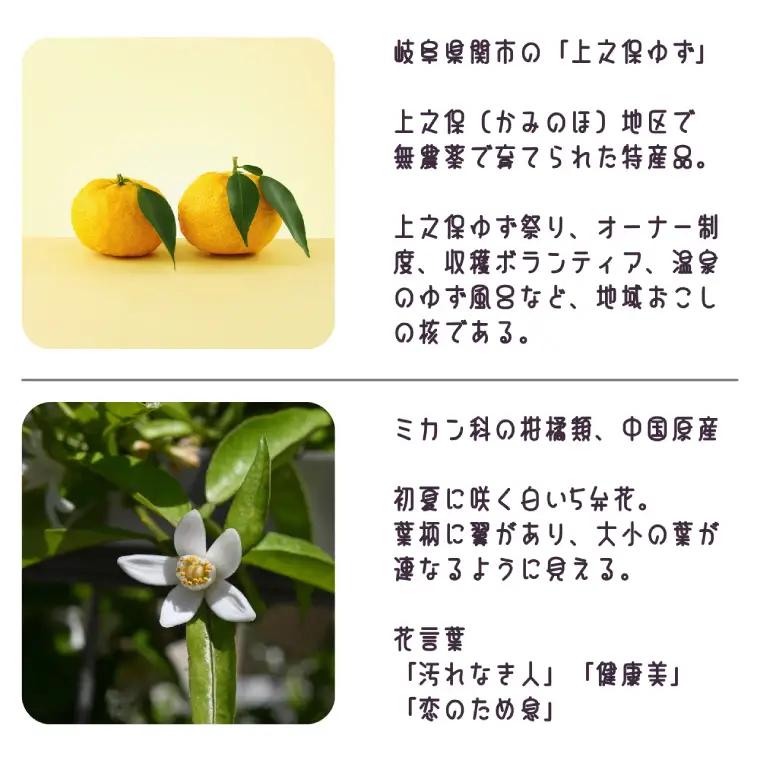 「上之保ゆず」モチーフつまみ細工の耳飾り イヤリング(ノンホールピアス）