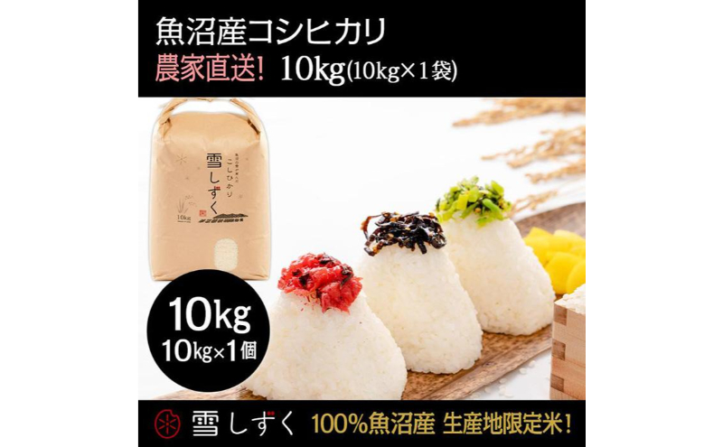 令和8年産！魚沼産コシヒカリ【農家直送!】 10kg×1袋 お米 米 コメ