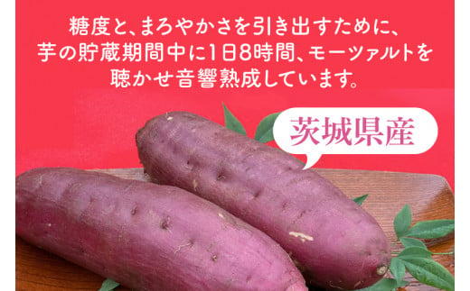 テレビでも紹介されました！道の駅でも人気！【モーツァルトを聞かせた干し芋】紅はるか平干し800g（200g×４）【ほしいも 干芋 平干し 熟成 自社農場 無添加 無着色 水戸市 水戸 茨城県】（AY-