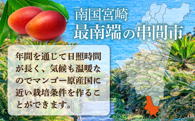 TAW25＜先行予約受付中＞数量限定！宮崎完熟マンゴー大小混合（４～６玉入）ご家庭用【高橋マンゴー農園】【TAW25】
