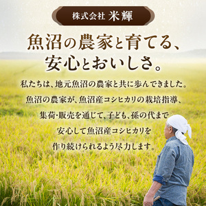 令和7年産 農産物検査員お奨め 魚沼産こしひかり（精米）5kg お米 コシヒカリ