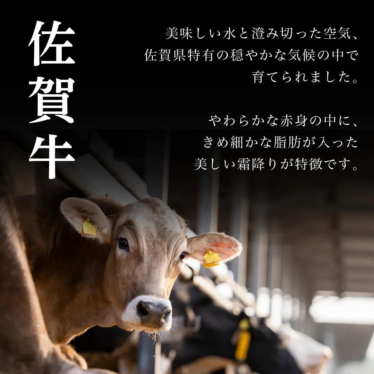佐賀牛ハンバーグ 1.8kg (150g×12個)