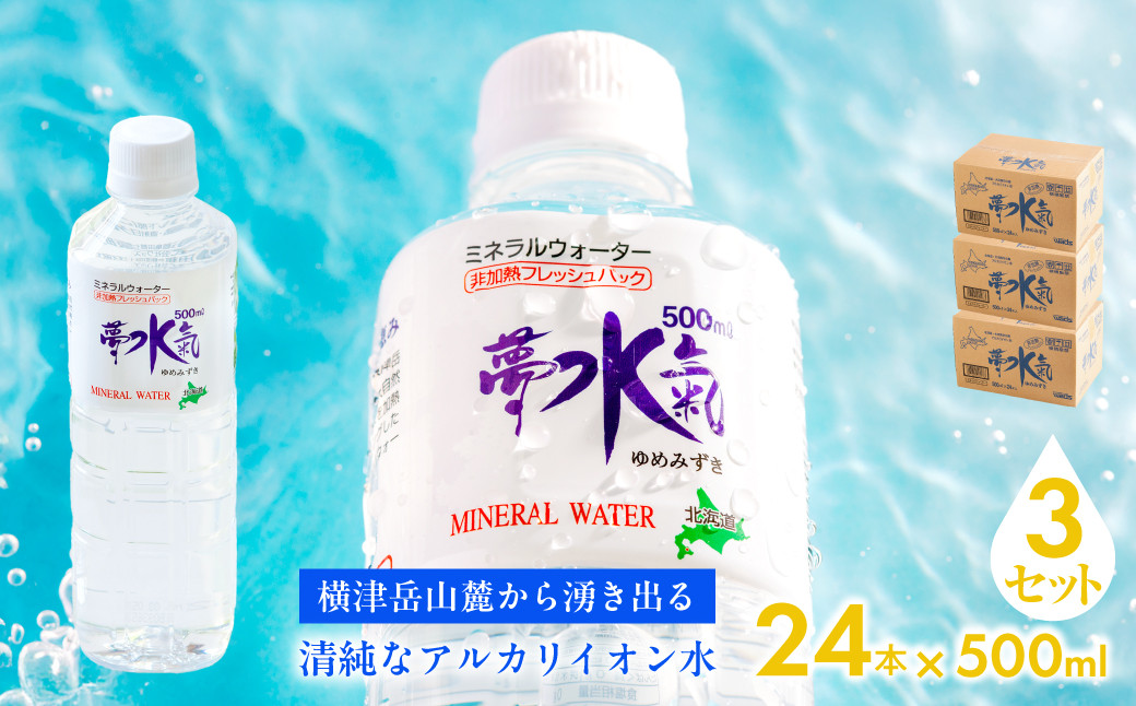 
            ミネラルウォーター夢水氣（500ml×24本）3セット 天然アルカリイオン水 軟水 【ふるさと納税 人気 おすすめ ランキング 天然アルカリイオン水 天然水 ミネラルウォーター 横津岳山麓 北海道 七飯町 送料無料】 NABI009
          
