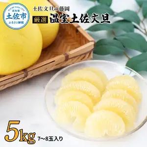 【先行予約】厳選 温室土佐文旦 約5kg（7?8玉） 高知県土佐市 【土佐文旦の藤岡】 [BQBJ002]