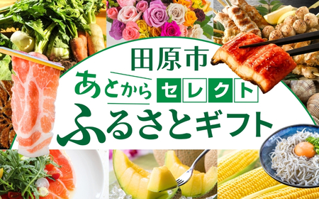 ＼約500品から選べる／あとから選べる！オンラインカタログ あとからセレクト カタログ