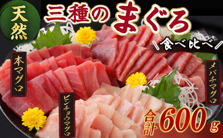 マグロ3種 小分け 約600g 【まぐろ】tk090